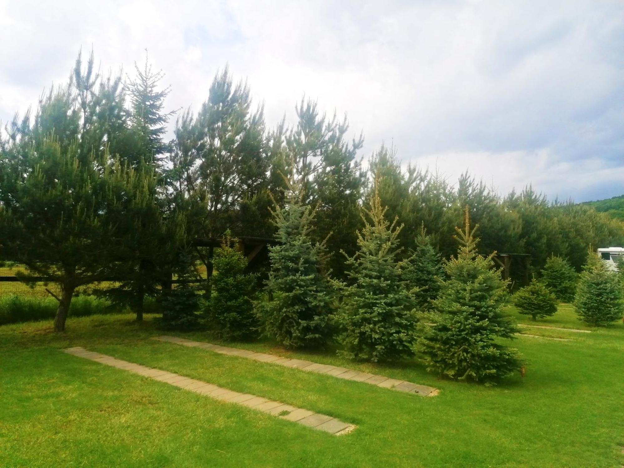 Camp Pacho Hotel Приевица Екстериор снимка