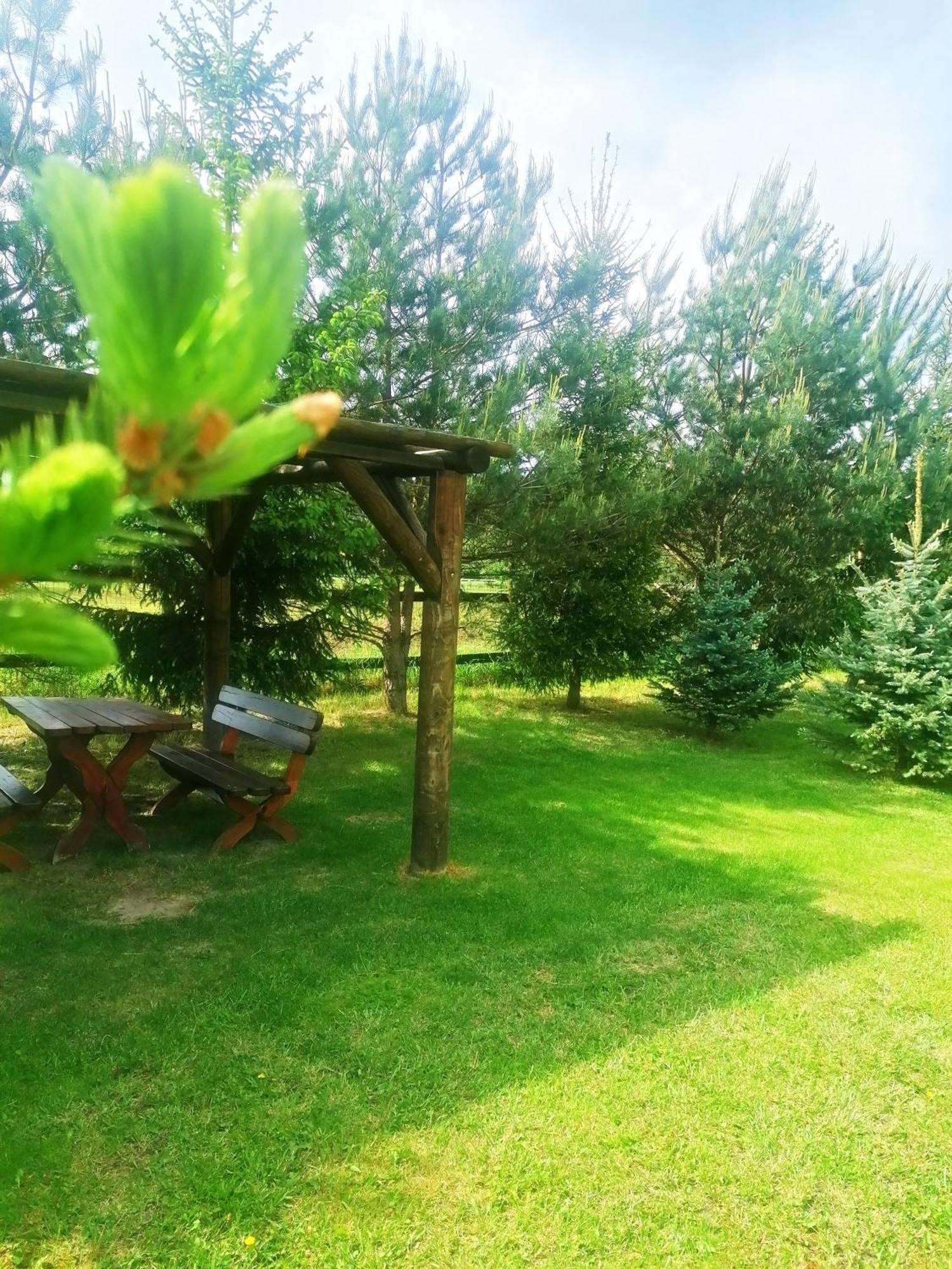 Camp Pacho Hotel Приевица Екстериор снимка